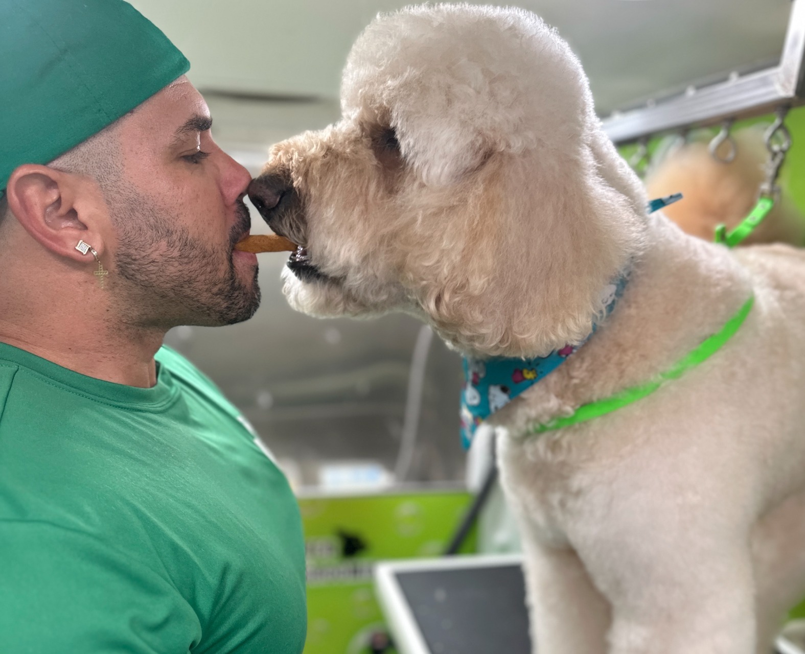 Dental Cleaning